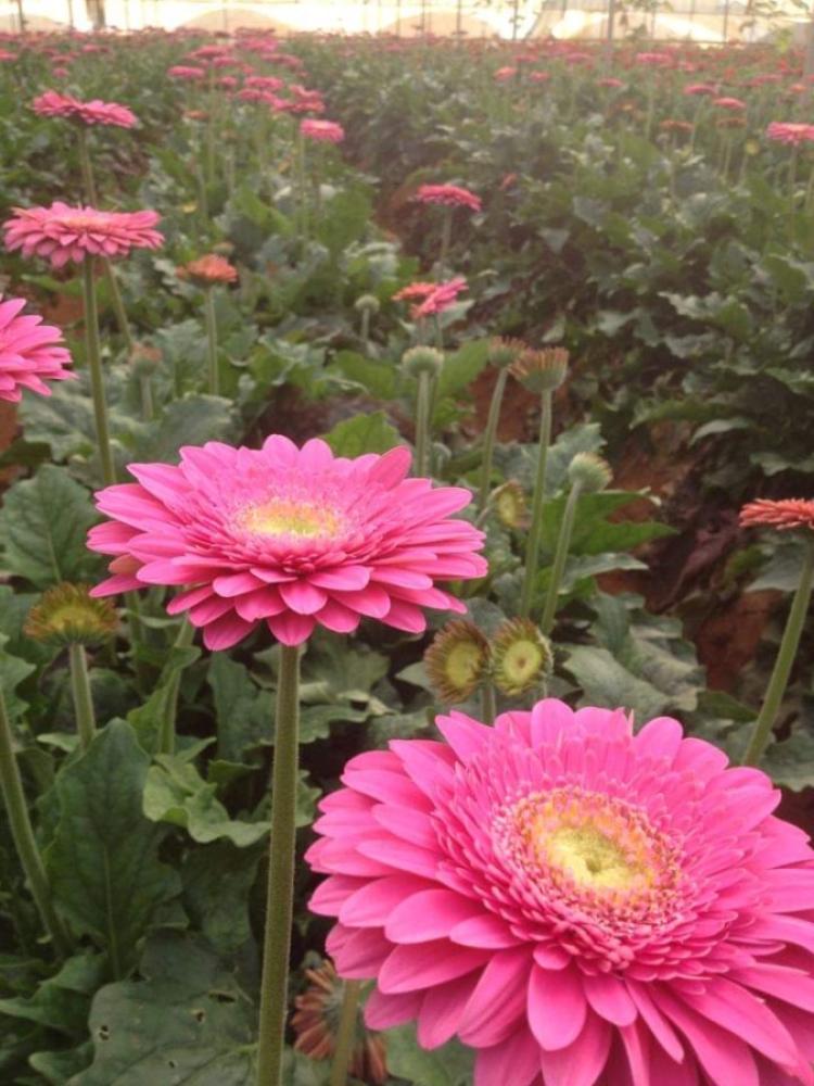 FB_IMG_1667852222296