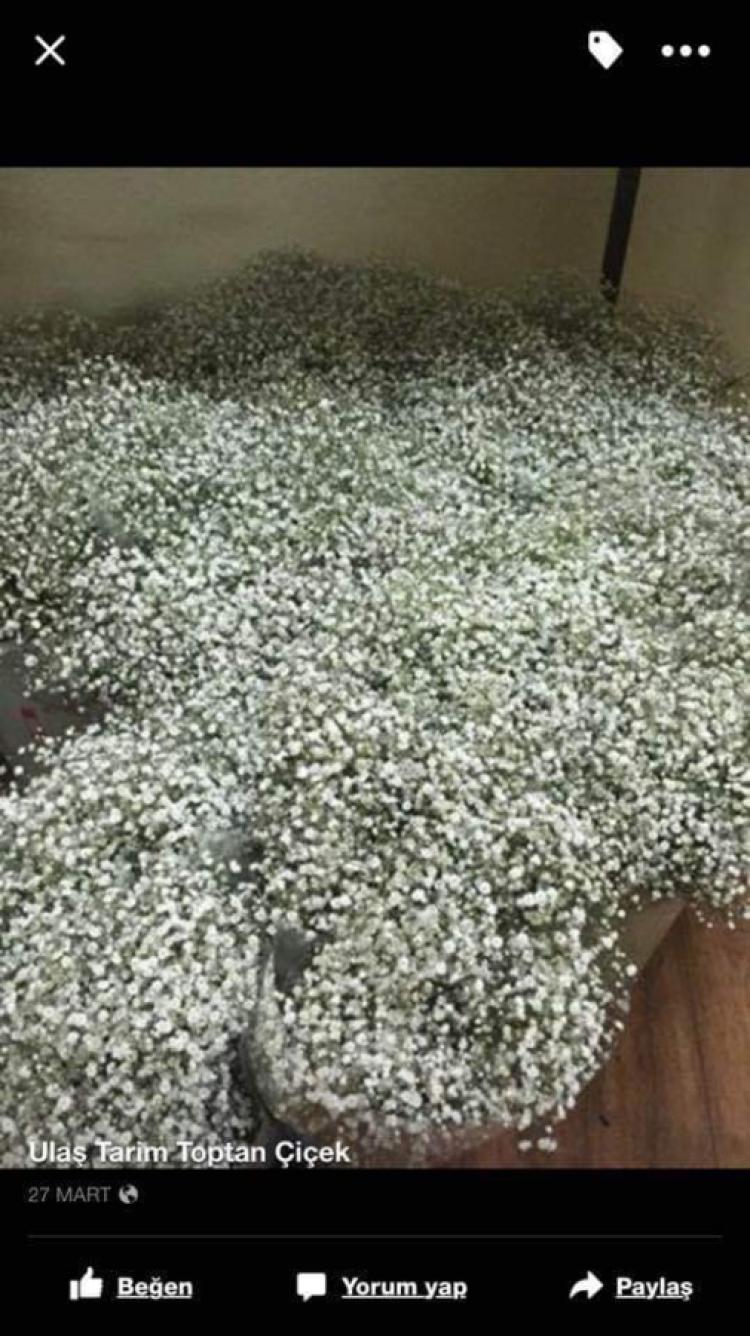 FB_IMG_1667852473781