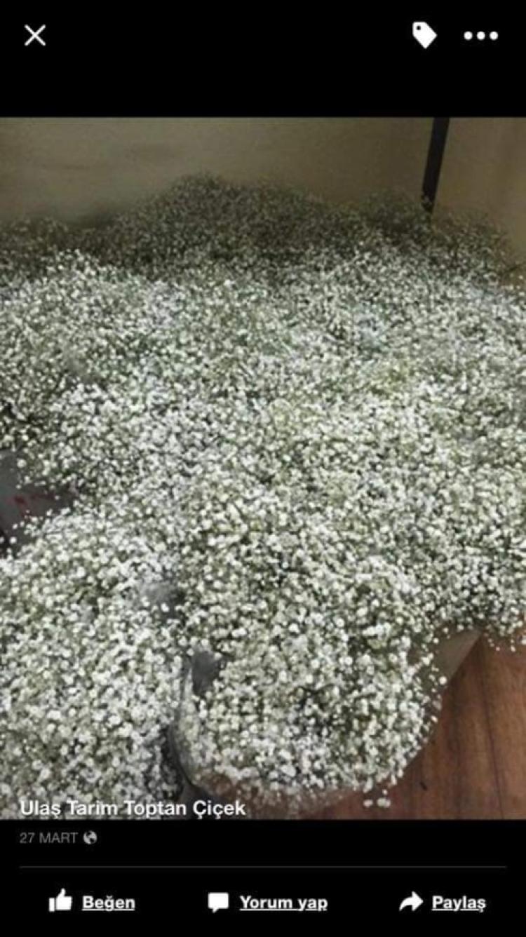 FB_IMG_1667853180968