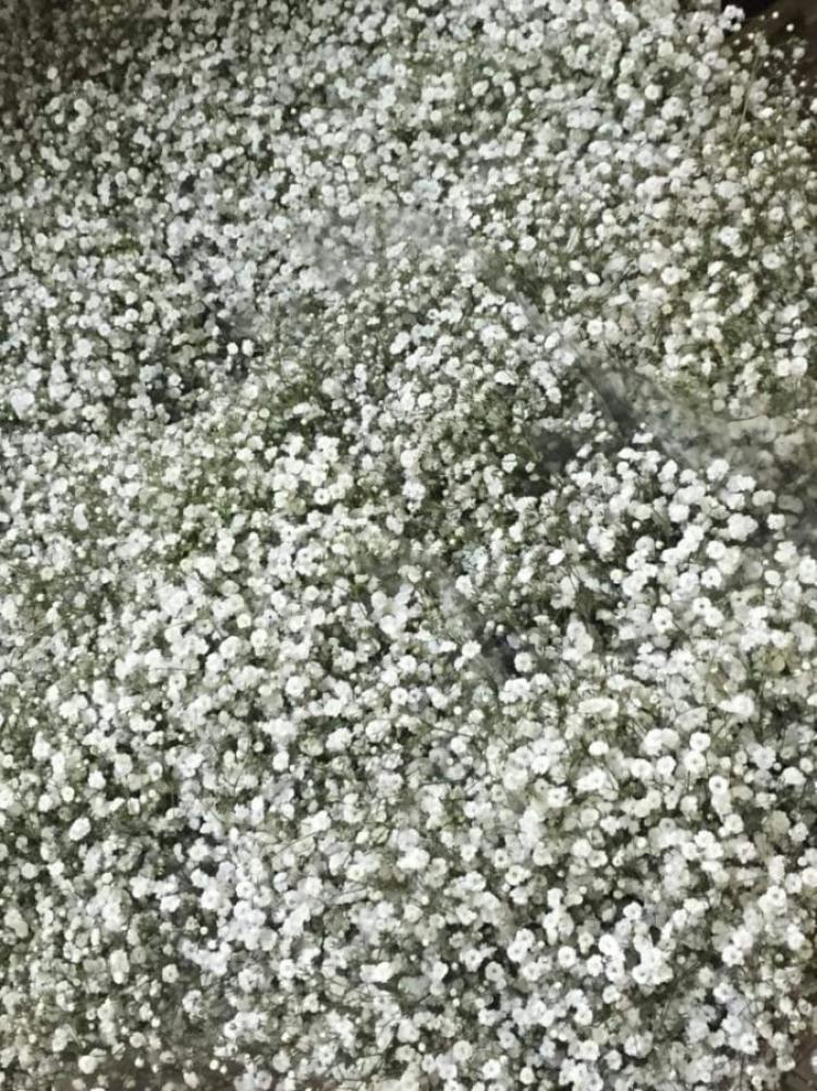 FB_IMG_1667853362878